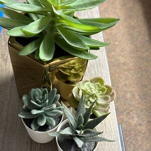 Fake Gold Planter with Green Succulents